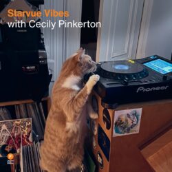 Starvue Vibes with Cecily Pinkerton