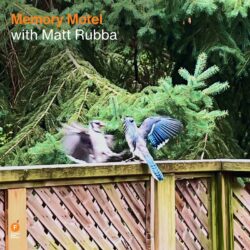 Memory Motel with Matt Rubba