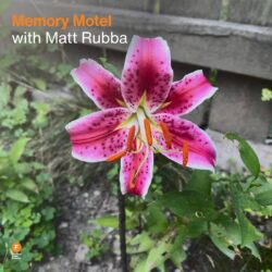 Memory Motel with Matt Rubba