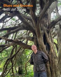 Blues and Grooves with Jaf Jervis