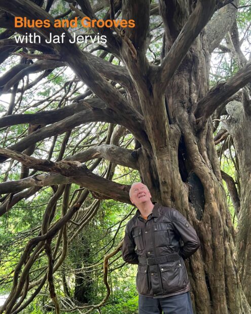 Blues and Grooves with Jaf Jervis