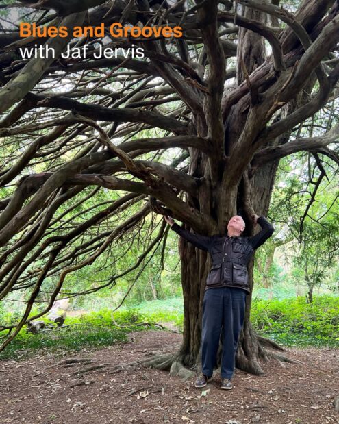 Blues and Grooves with Jaf Jervis