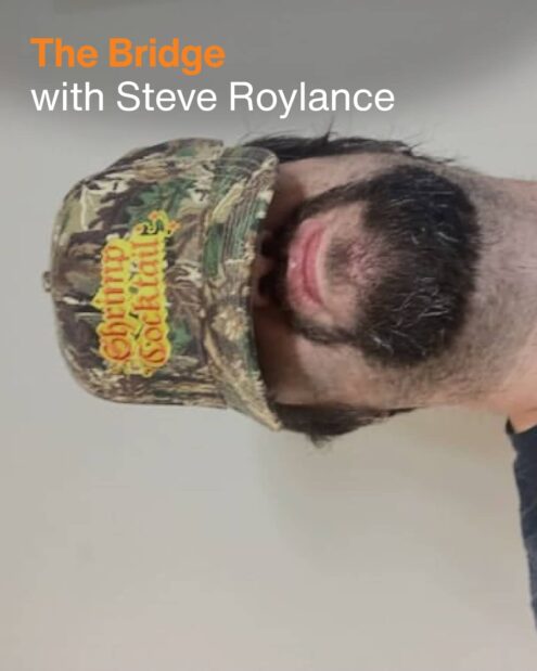 The Bridge with Steve Roylance - Default