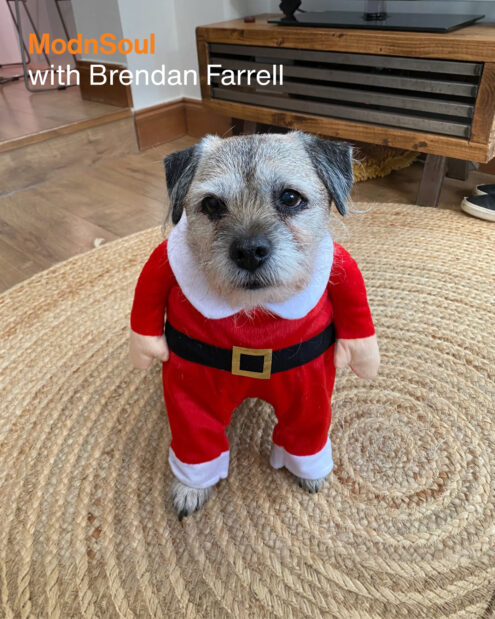 ModnSoul with Brendan Farrell