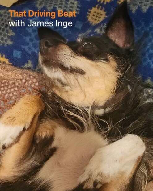 That Driving Beat with James Inge