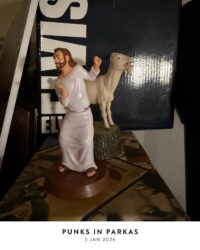 Punks In Parkas