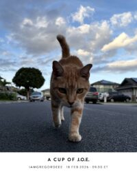 A Cup of J.O.E. with iamgregordeee