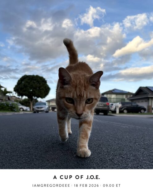 A Cup of J.O.E. with iamgregordeee