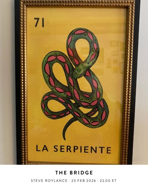 The Bridge With Steve Roylance