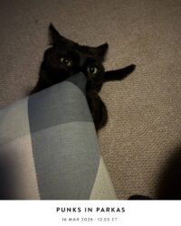 Punks In Parkas
