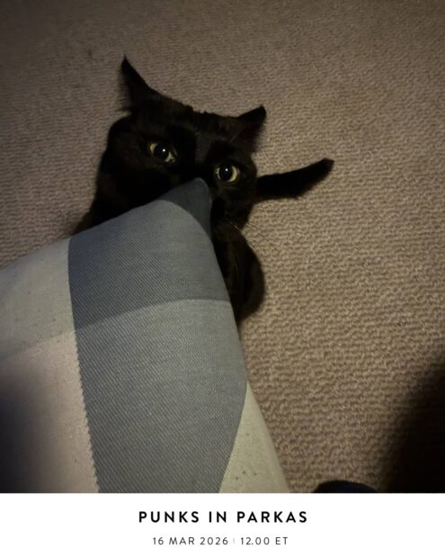 Punks In Parkas