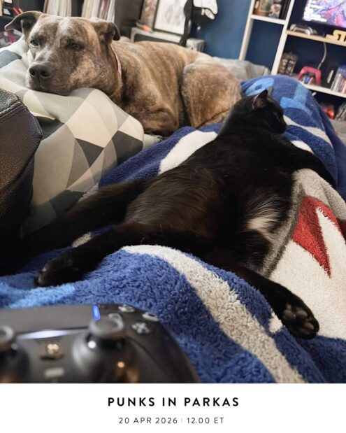 Punks In Parkas