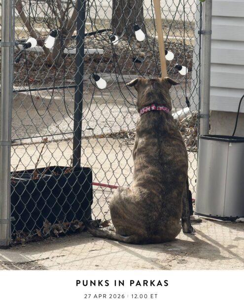Punks In Parkas